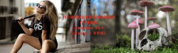 каннабис Абаза
