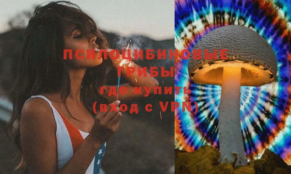 гидра Алексин