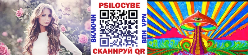 где найти   Тула  Галлюциногенные грибы MAGIC MUSHROOMS 